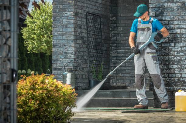 Best Building Exterior Washing  in Elkins, WV